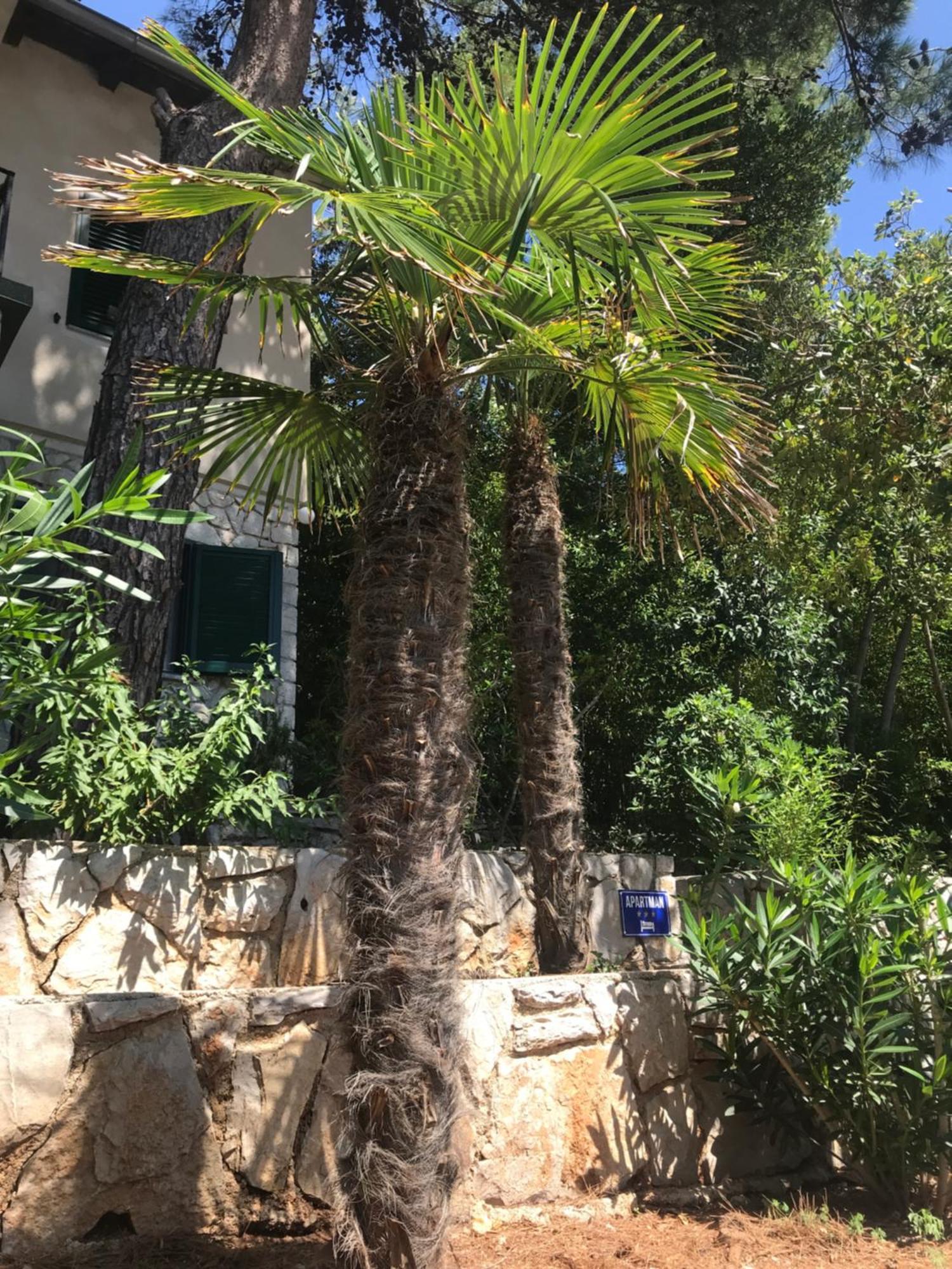 Apartment Sunshine Mali Losinj Ngoại thất bức ảnh