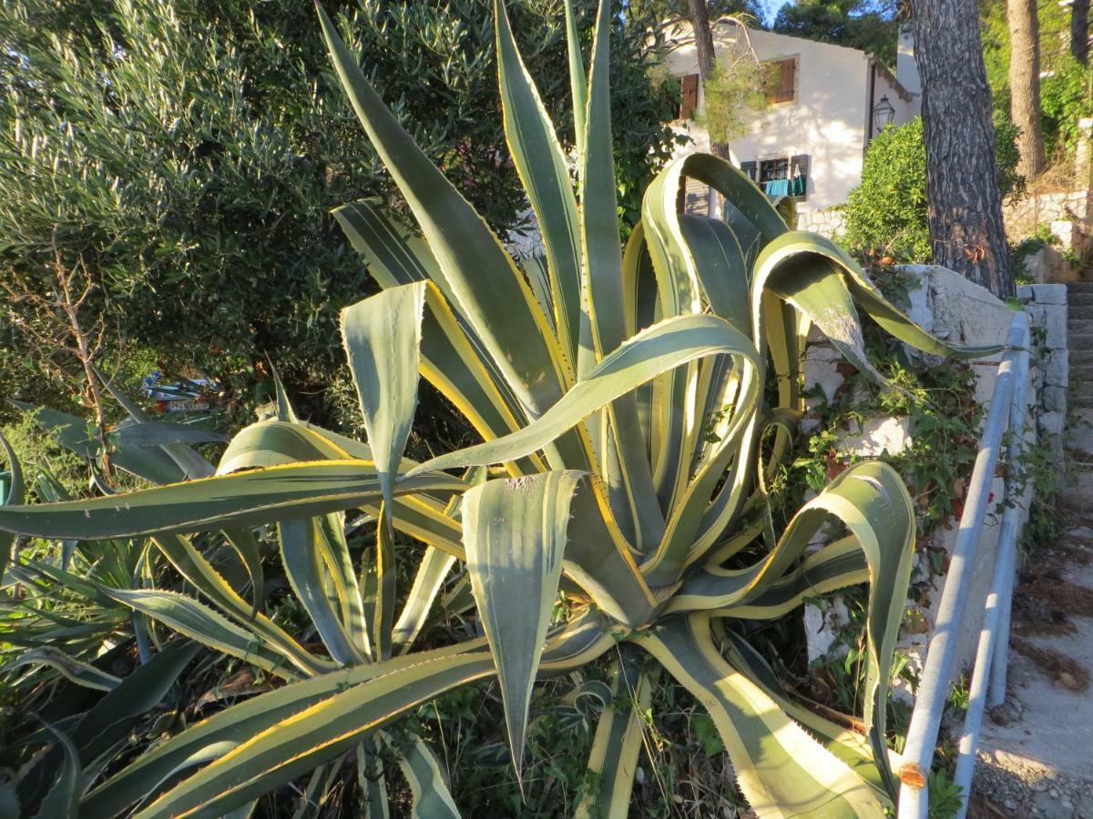 Apartment Sunshine Mali Losinj Ngoại thất bức ảnh