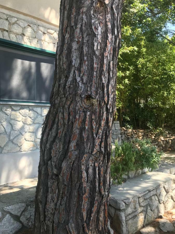 Apartment Sunshine Mali Losinj Ngoại thất bức ảnh