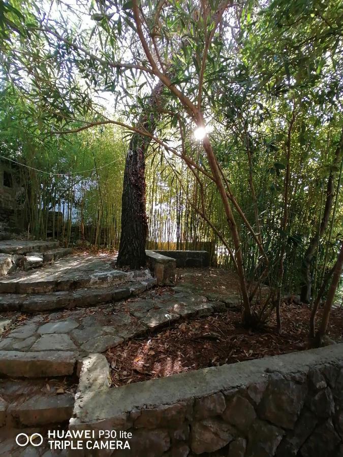 Apartment Sunshine Mali Losinj Ngoại thất bức ảnh
